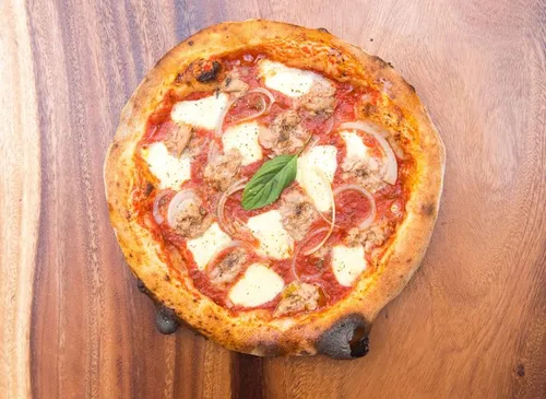 Tuna and onion Pizza