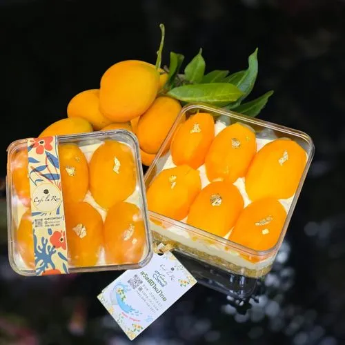 Mayong Chid Cheese Tart