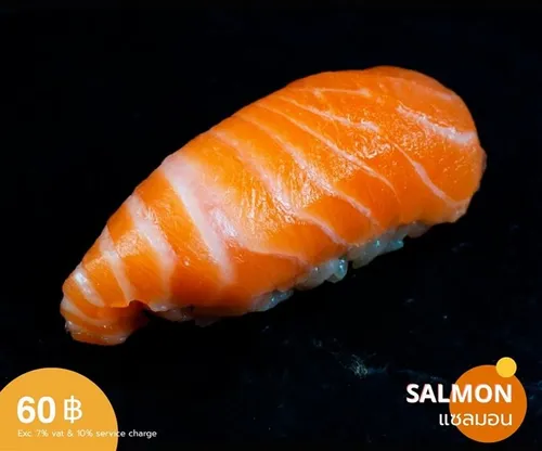 salmon