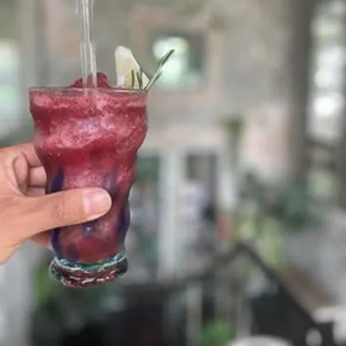Kombucha Smoothie