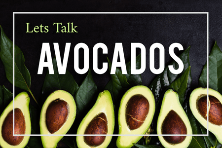 How to Grow Avocado Trees at Home-Four Winds Growers