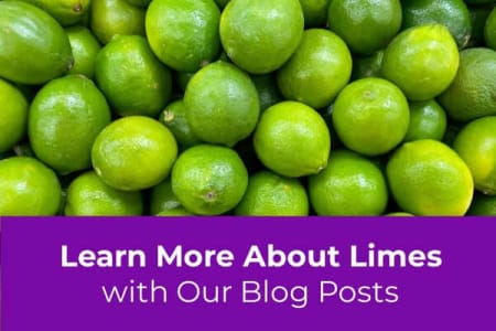 Learn More About Growing Lime Trees-Four Winds Growers