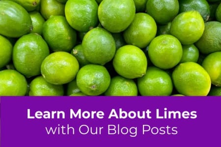 Learn More About Growing Lime Trees-Four Winds Growers