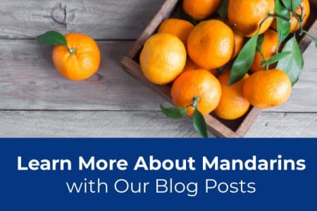 Learn About Growing Mandarin Trees-Four Winds Growers