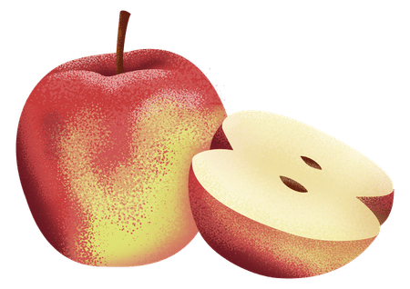 Pre-order Fruit Trees Available Orange