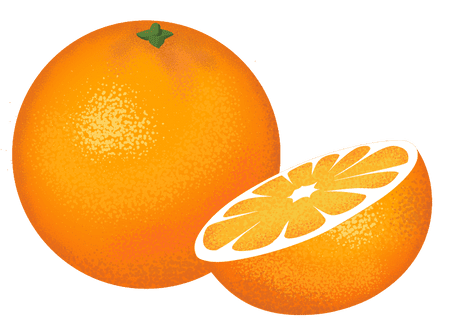WHAT YOU NEED TO GROW Orange