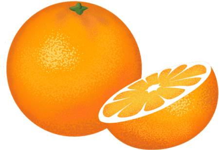FINE CITRUS TREES Orange