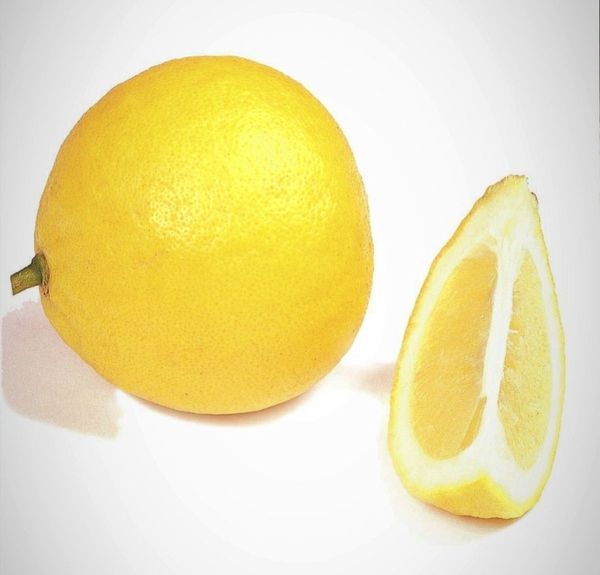 Ponderosa Semi-Dwarf Lemon Tree