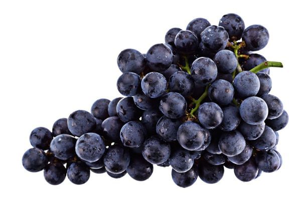 Black Monukka Seedless Grape Vine
