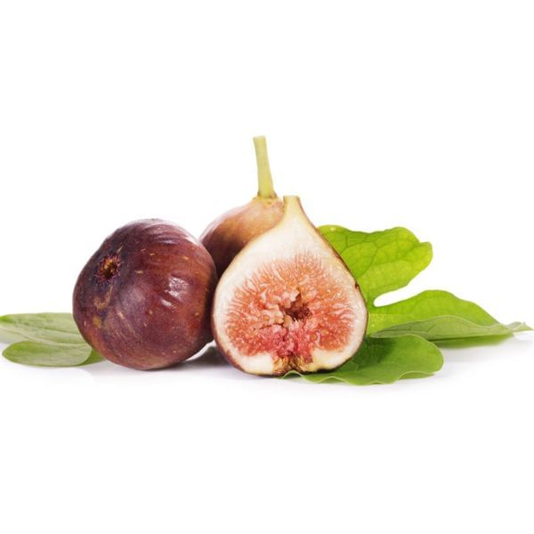 Brown Turkey Fig Tree