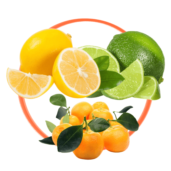 Citrus Favorites Trio- Lemon, Lime & Calamondin Trees Collection