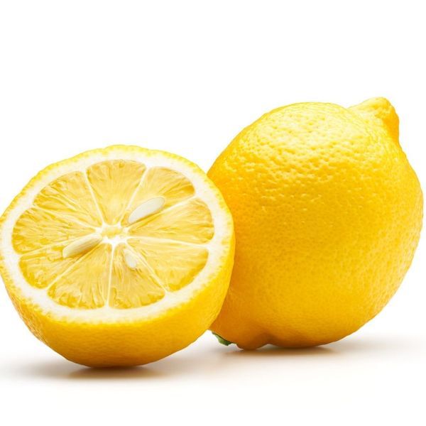 Eureka Lemon Bush