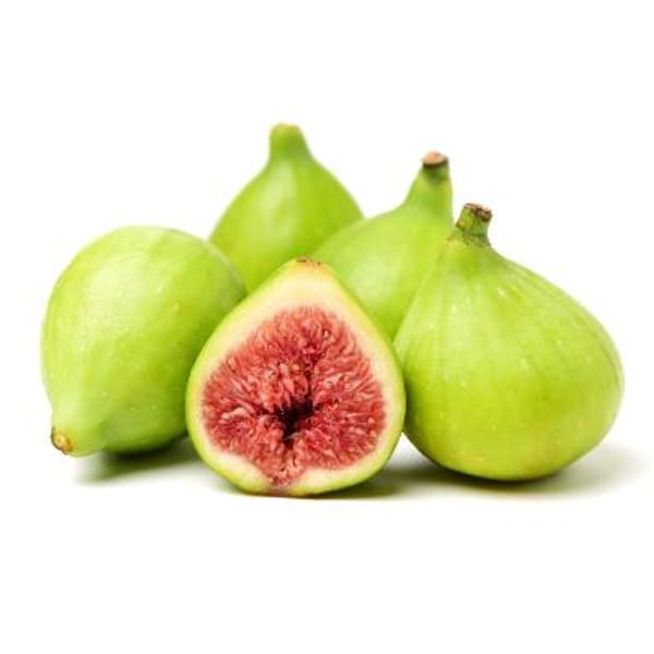 Excel Fig Tree