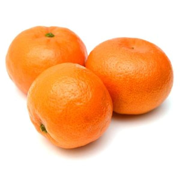 Mandarin Trees For Sale / SemiDwarf Mandarin Orange Trees for Sale