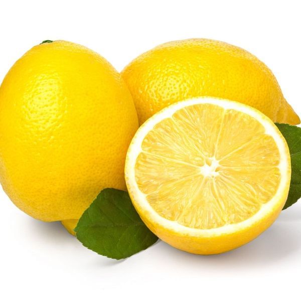 Genoa/ Genova Semi-Dwarf Lemon Tree