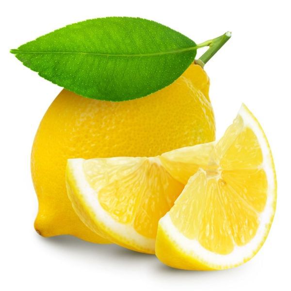 Lisbon Lemon Bush