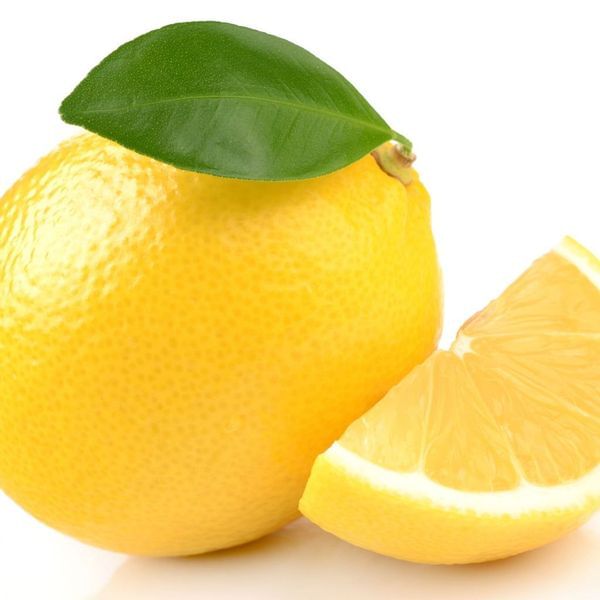 New Zealand Lemonade Semi-Dwarf Lemon Tree