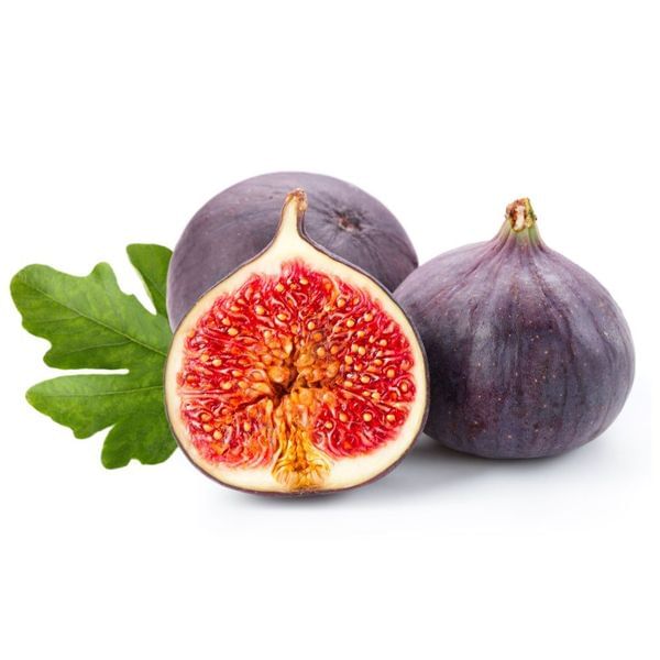 Purple Smyrna Fig Tree