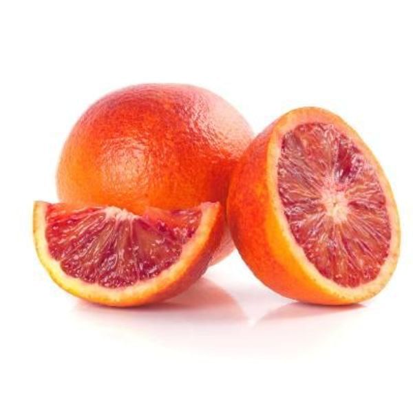 Sanguinelli Blood Semi-Dwarf Orange Tree