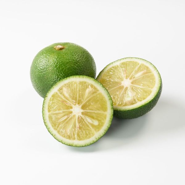 Sudachi Semi-Dwarf Lime/Sour Mandarin Tree