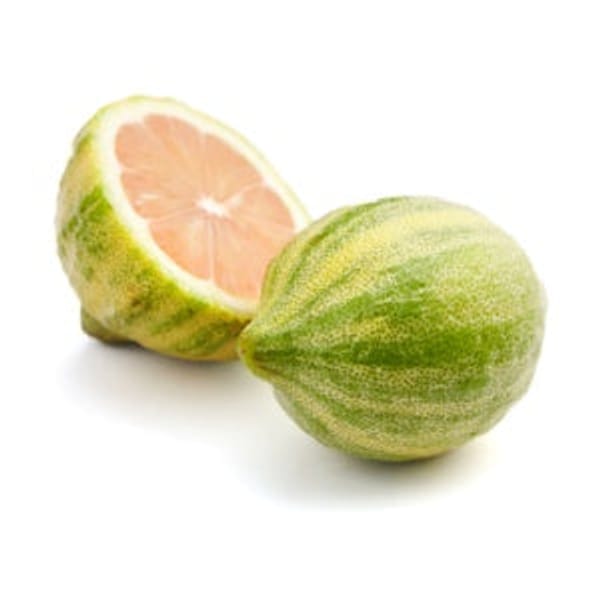 Variegated Pink Semi-Dwarf Lemon Tree