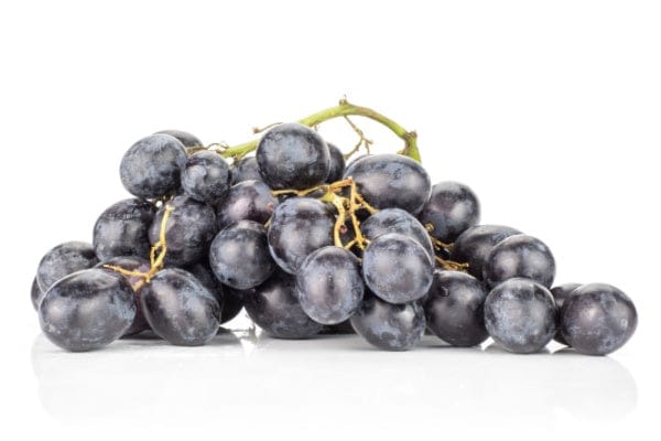 Autumn Royal Seedless Table Grape Vine