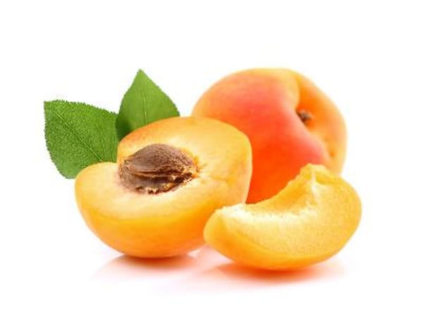 Blenheim Apricot Tree