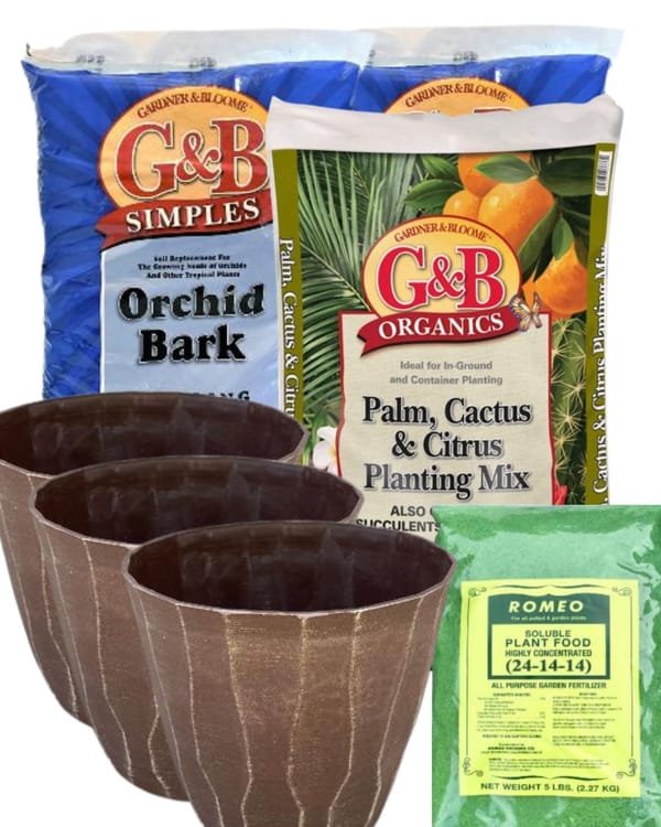 Citrus Tree Planting Bundle- Coffee Brown