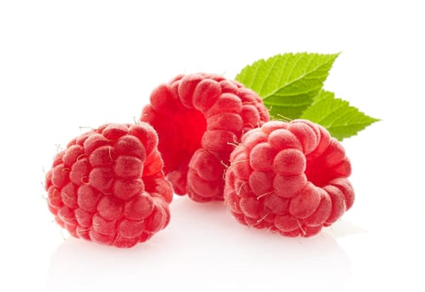 Canby Thornless Red Raspberry Bush