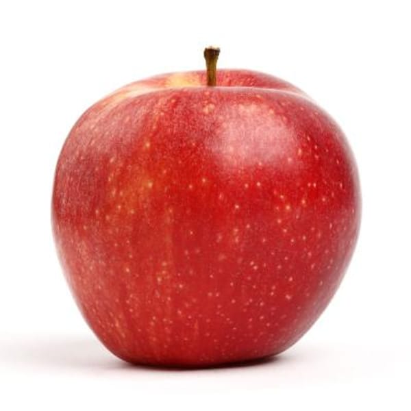 Fuji Apple Tree