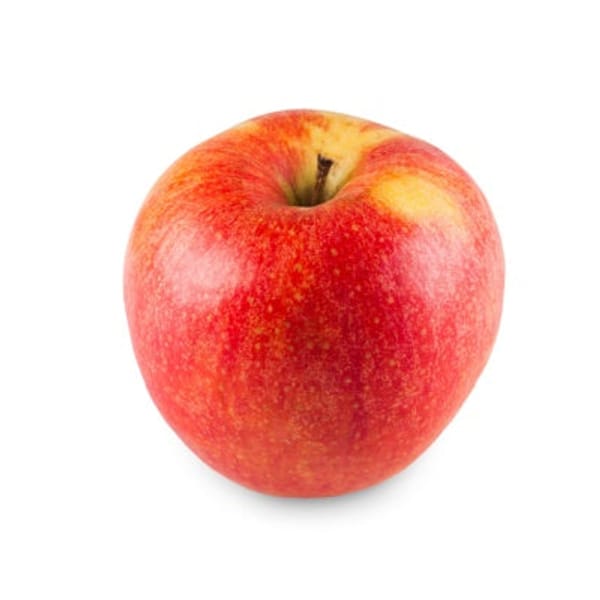 Honeycrisp Apple Tree