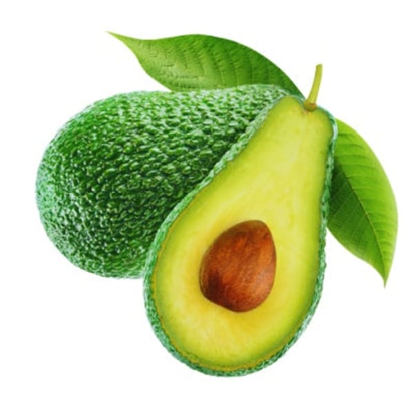 Jan Boyce Avocado Tree