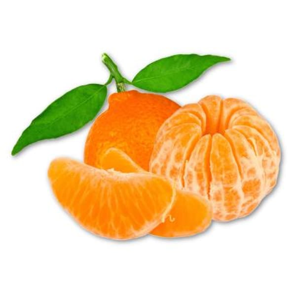 Mandarin Trees For Sale / Semi-Dwarf Mandarin Orange Trees for Sale