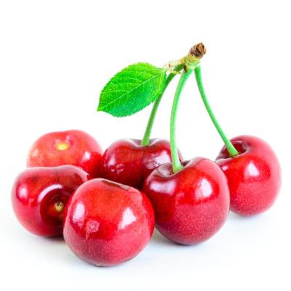 Montmorency Sour Cherry Tree