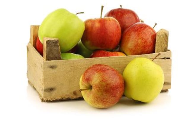 Apple - Multi Budded Fruit Tree