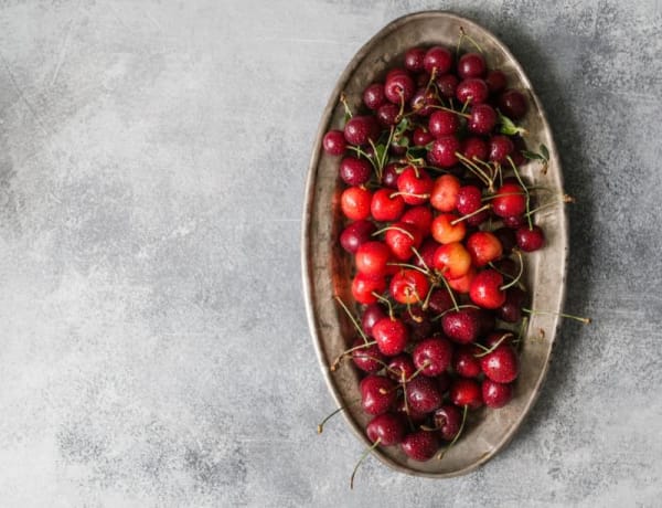 Cherry- Multi Budded Fruit Tree