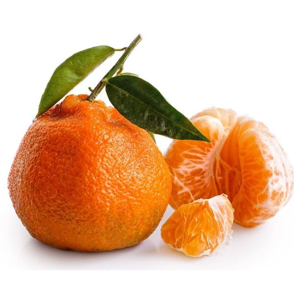 Mandarin - Citrus Trees For Sale / Semi-Dwarf Citrus Trees for Sale