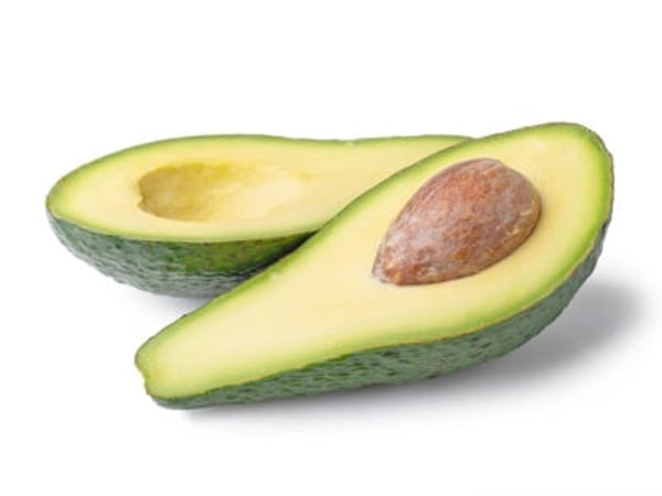 Pinkerton Avocado Tree