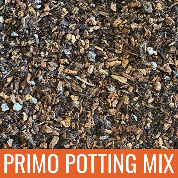 New & Improved! Primo DIY Citrus & Fruit Tree Potting Soil Mix Kit (2:1)