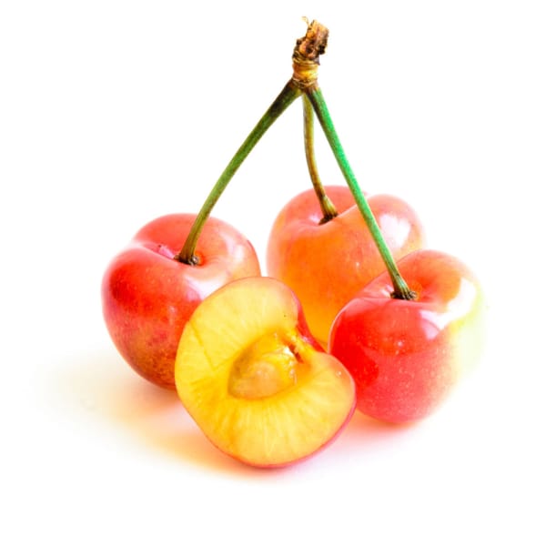 Rainier Cherry Tree