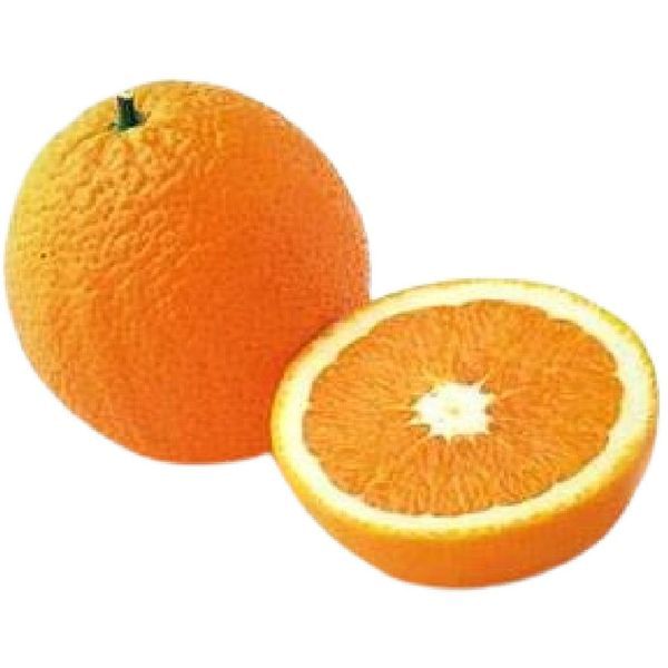 Shamouti Sweet  Semi-Dwarf Orange Tree