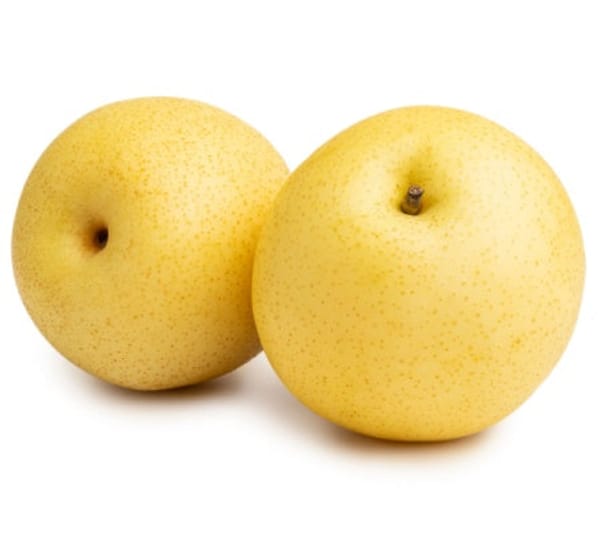 Pear Trees For Sale / Multiple Varieties Available