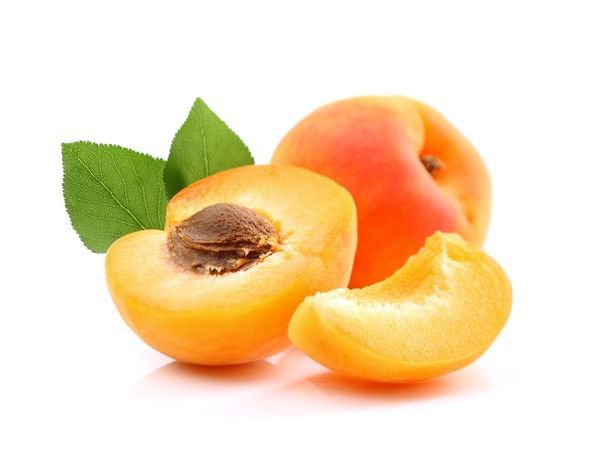 Blenheim Apricot Tree