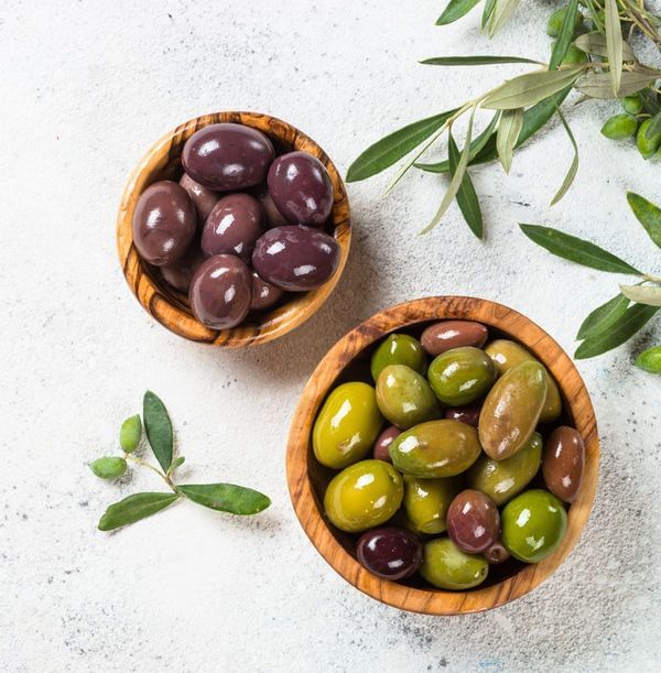Picual Olive Tree