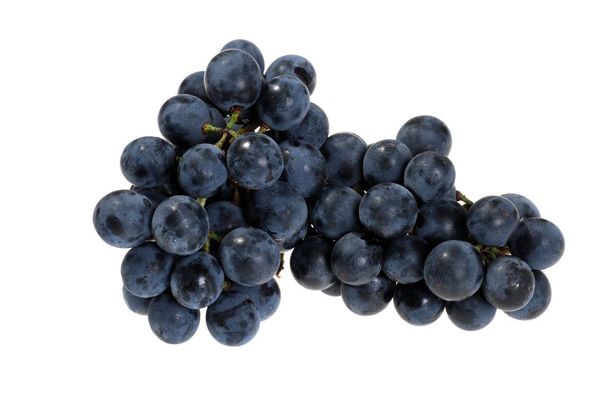 Concord Seedless Grape Vine