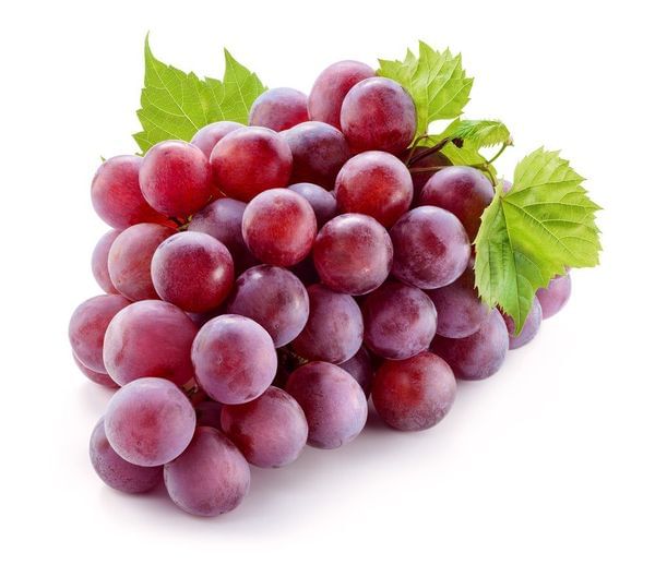 Flame Seedless Grape Vine
