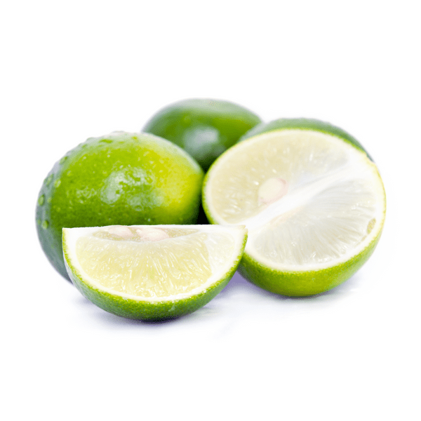 Mexican Key Lime Bush