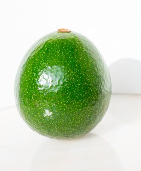 Reed Avocado Tree