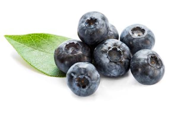 O'Neal Blueberry Bush