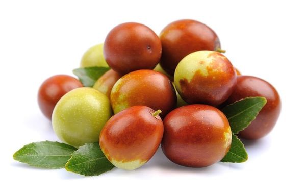 Burgundy Plums Information and Facts